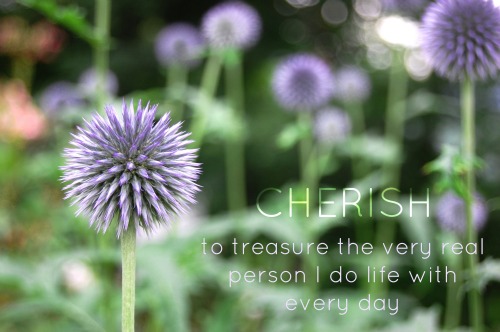 Cherish