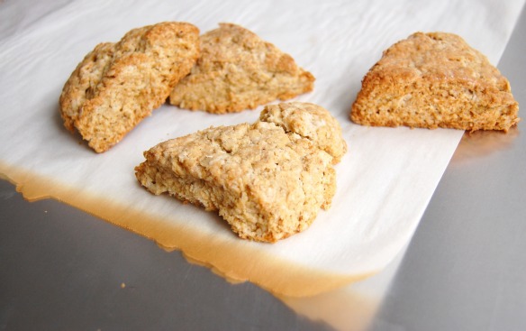 Oat Scone