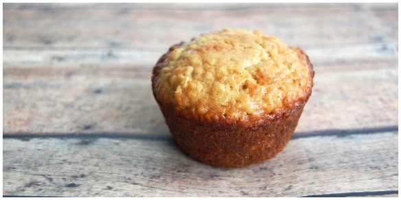 Oatmeal Muffin Upclose