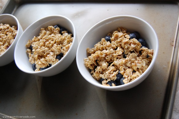 Blueberry Crisp unbaked