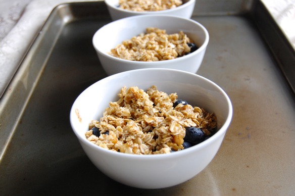 Blueberry Crisps