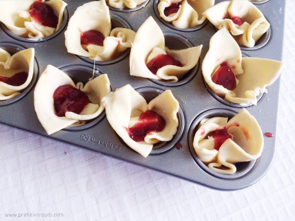 Raspberry Brie Bites