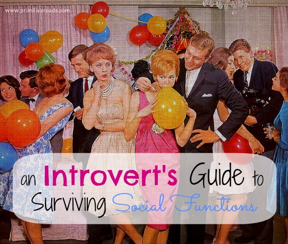 An Introvert's Guide To Surviving Social Functions