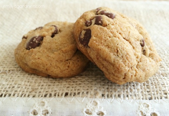 half-way healthy chocolate chip cookie